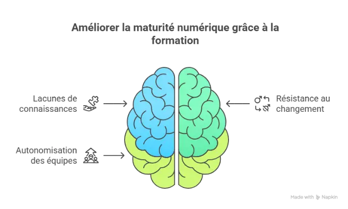 Schéma apprentissage
